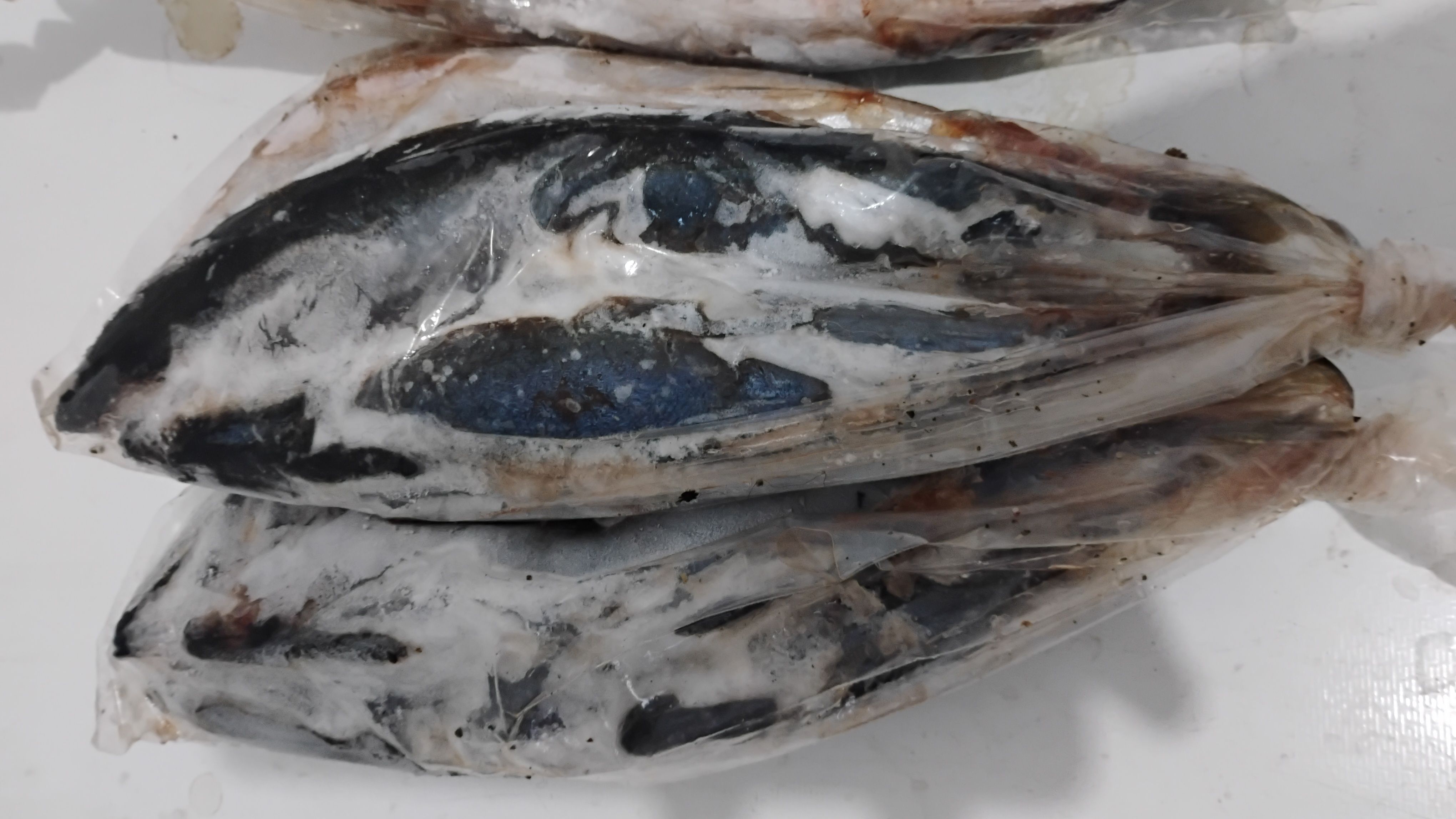 Ikan Deles 